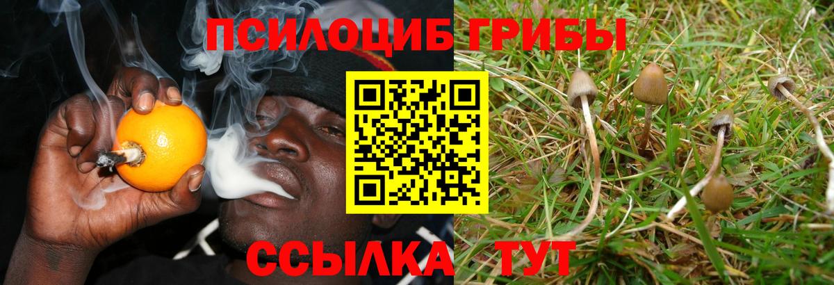 Галлюциногенные грибы мицелий Лениногорск