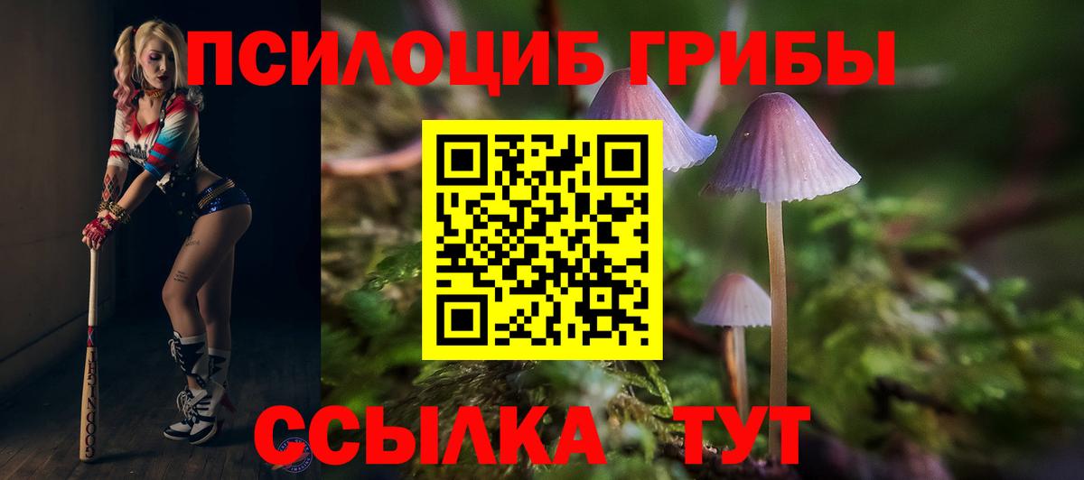 Лениногорск  Галлюциногенные грибы мицелий  Вход с VPN  Псилоцибиновые грибы MAGIC MUSHROOMS 